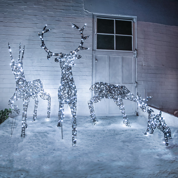 Christmas Reindeer Family Outdoor Light Set - Garden Trends