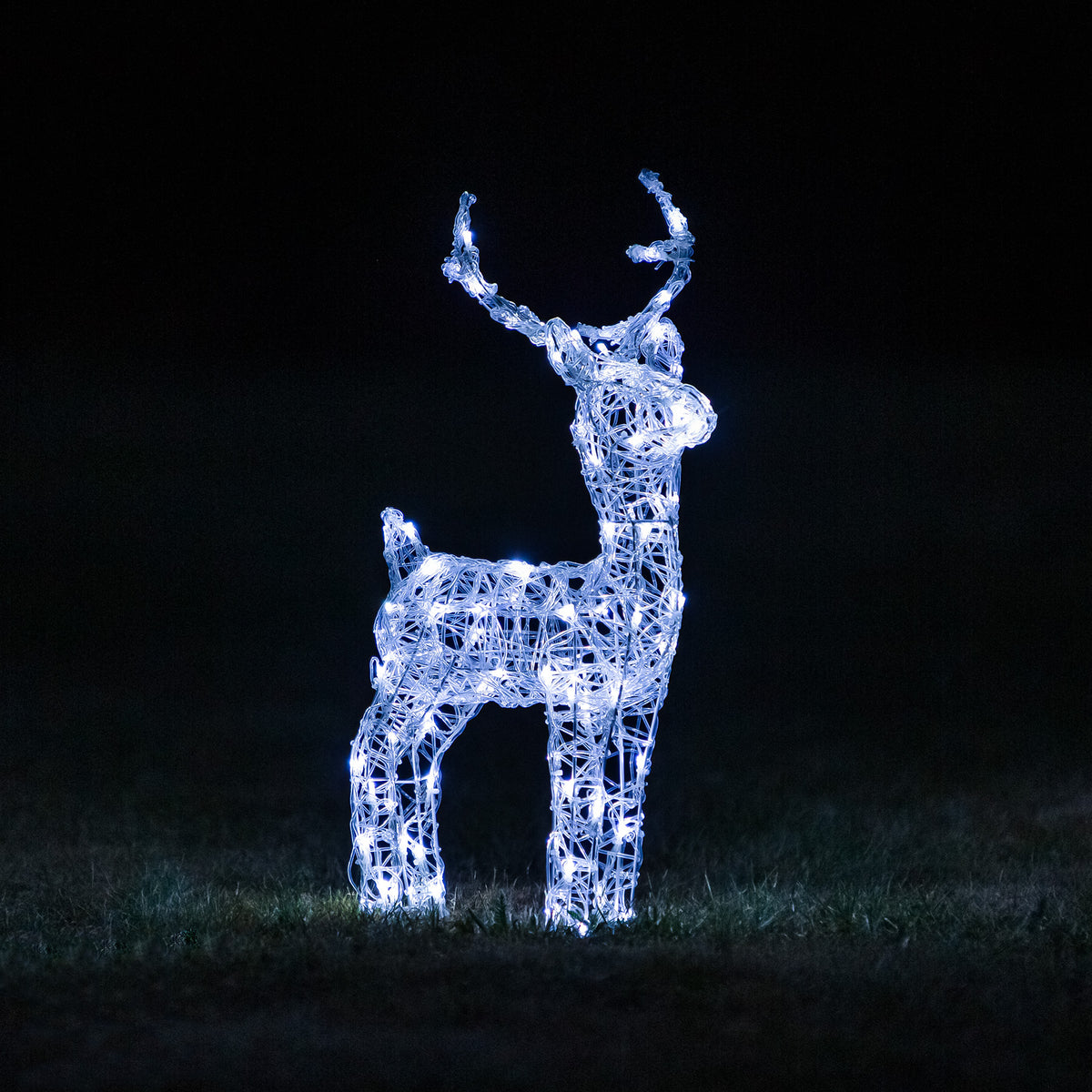 Christmas Reindeer Lights - 60CM Soft Acrylic Light Up Small Stag with 90 White LEDs