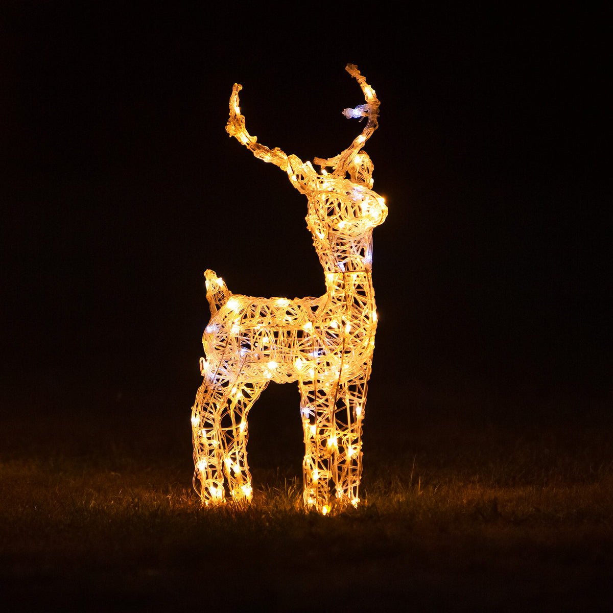 Christmas Reindeer Lights - 60CM Soft Acrylic Light Up Small Stag with 90 White LEDs