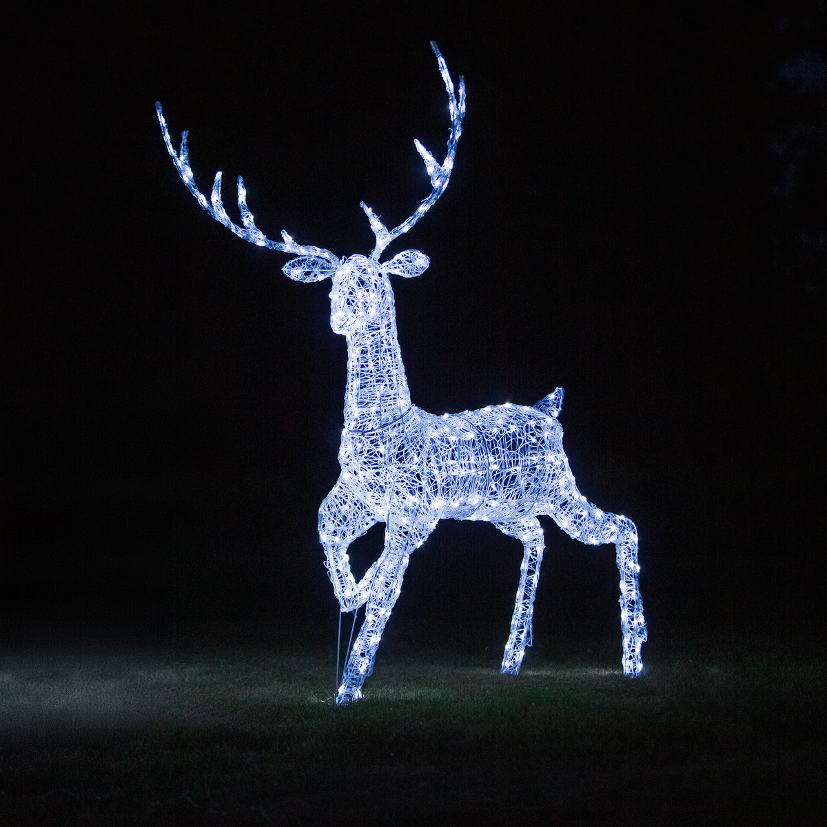 Christmas Reindeer Light - 2M Soft Acrylic Light Up Grand Stag with 350 White LEDs