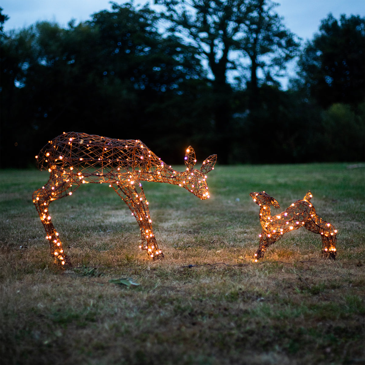 Christmas Reindeer Lights - 1M Brown Wicker Light Up Mother &amp; Baby with 250 White LEDs