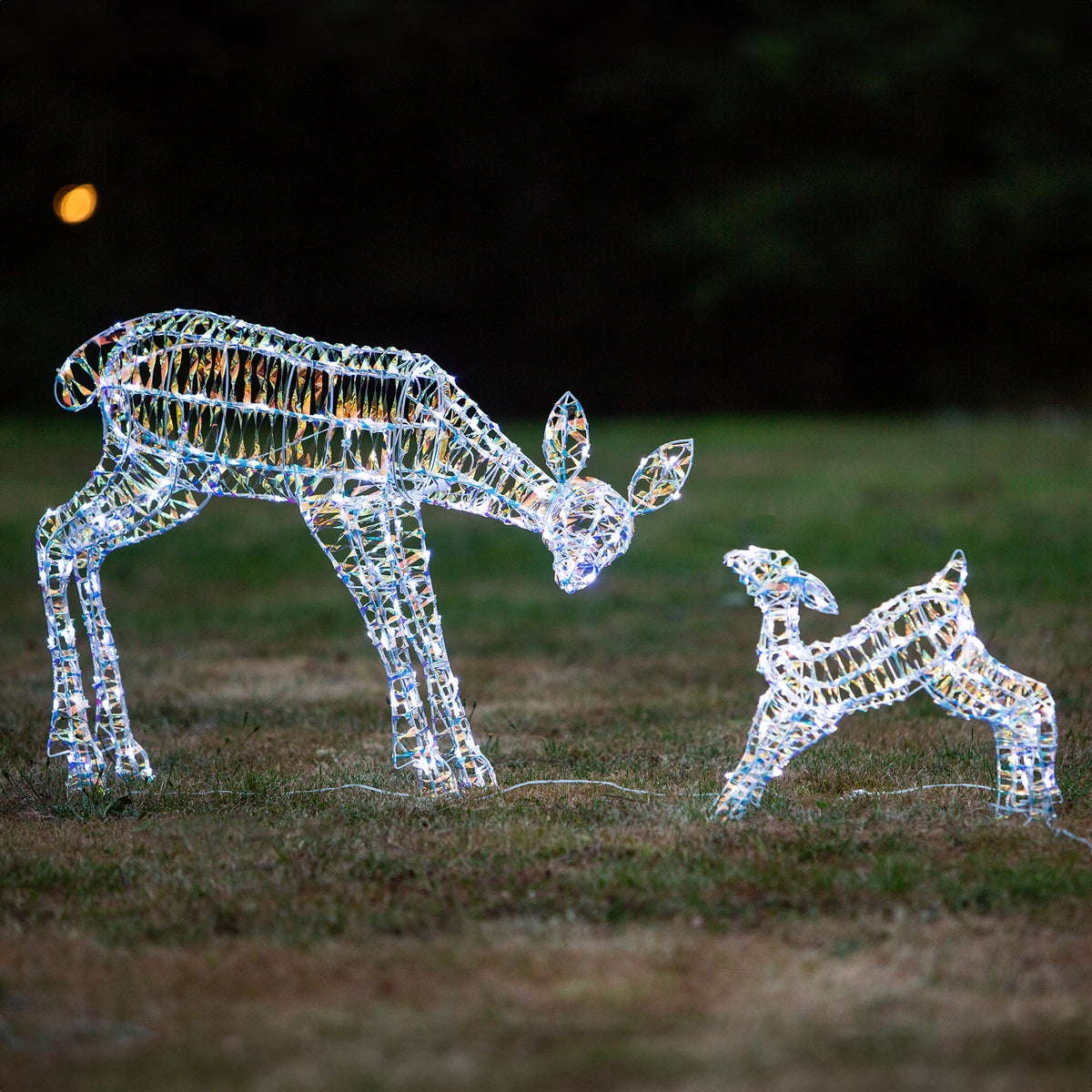 Christmas Reindeer Lights - 1M Laser Light Up Mother &amp; Baby with 250 White LEDs