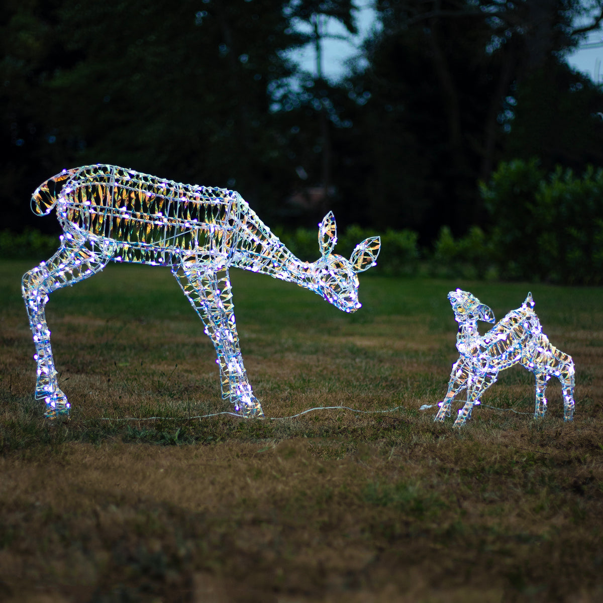 Christmas Reindeer Lights - 1M Laser Light Up Mother &amp; Baby with 250 White LEDs