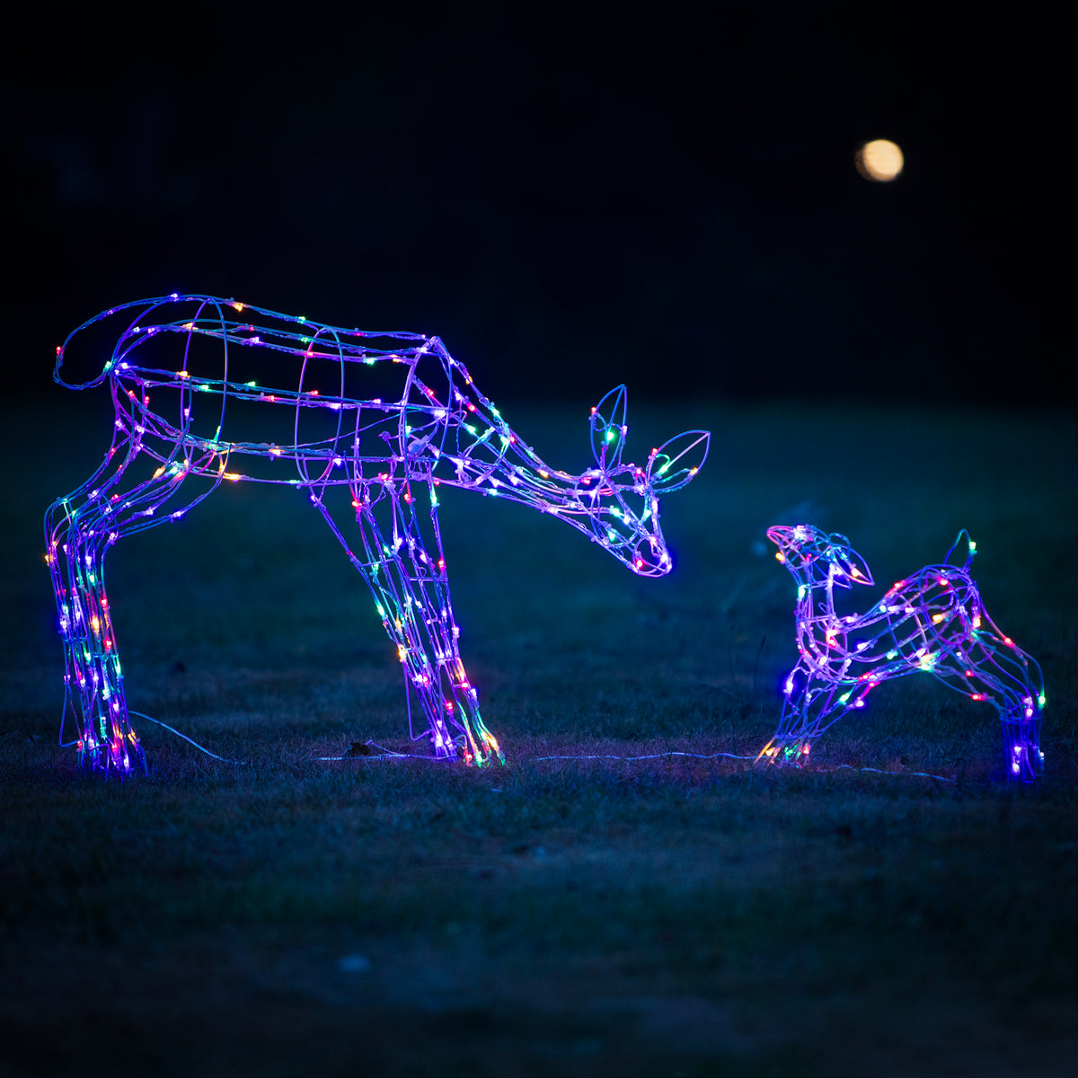 Christmas Reindeer Lights - 1M White Wire Light Up Mother &amp; Baby with 250 White and Multi LEDs