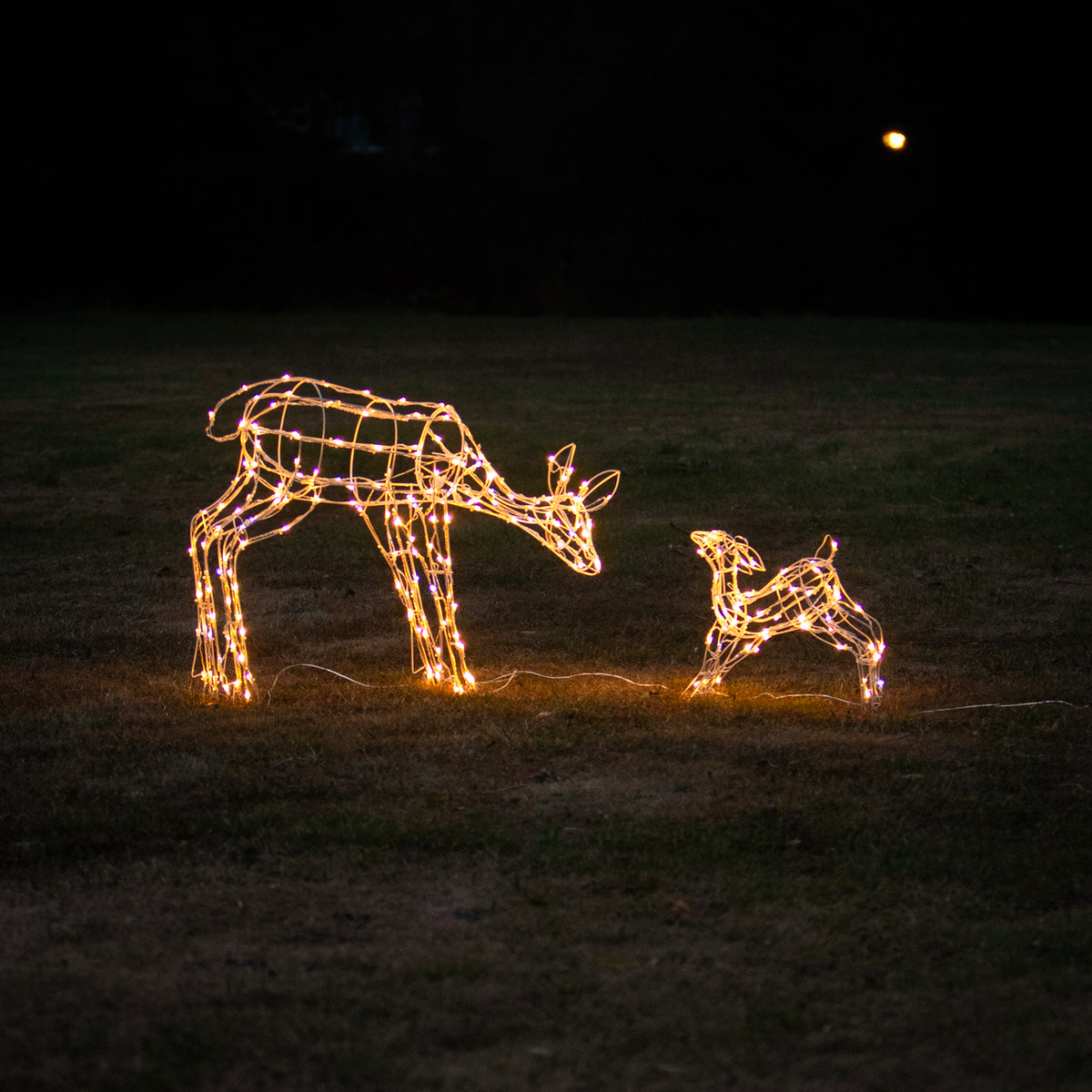 Christmas Reindeer Lights - 1M White Wire Light Up Mother &amp; Baby with 250 White and Multi LEDs