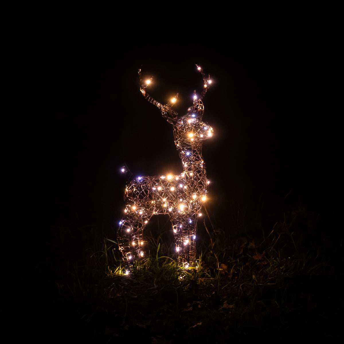 Christmas Reindeer Lights - 60CM Brown Wicker Light Up Small Stag with 90 White LEDs