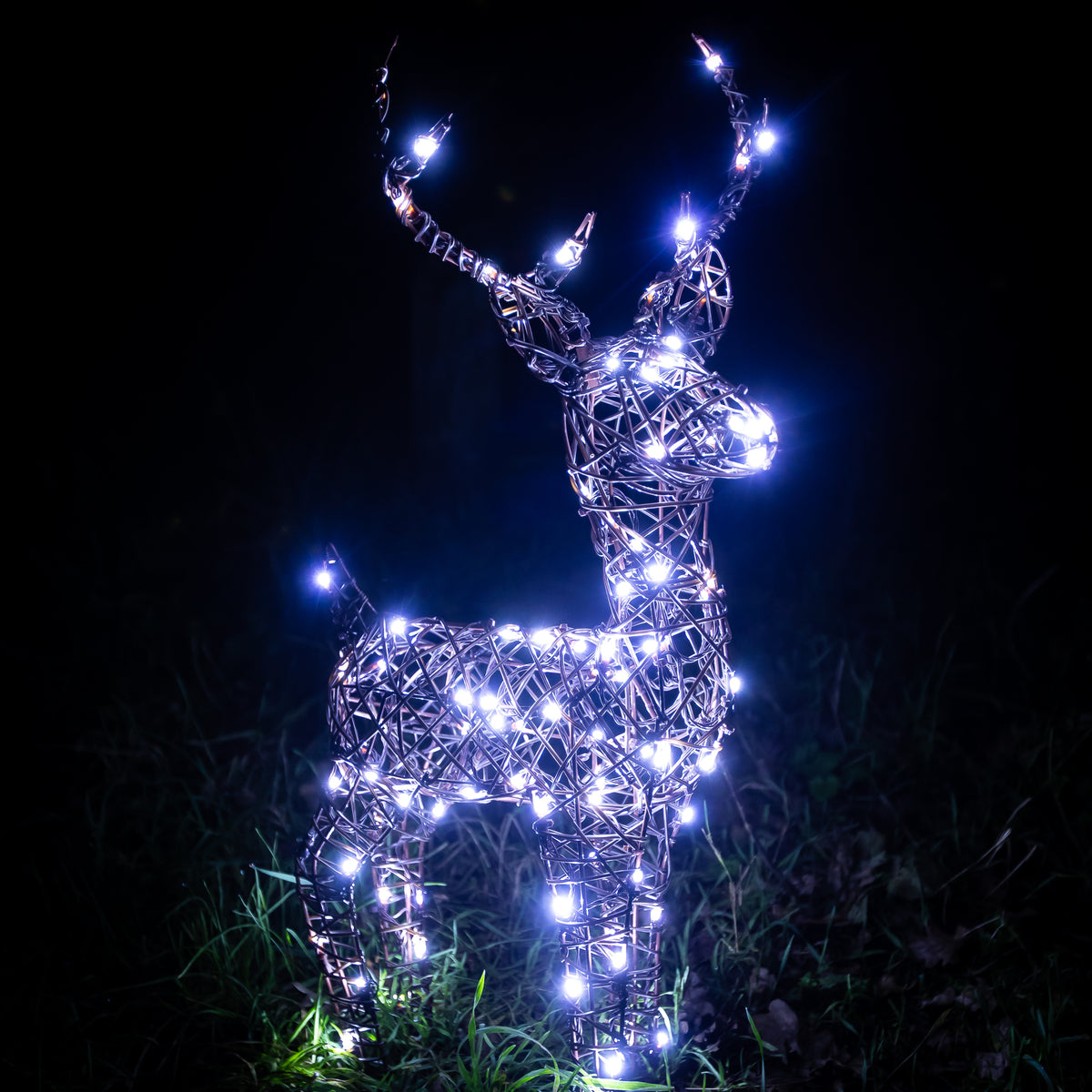 Christmas Reindeer Lights - 60CM Brown Wicker Light Up Small Stag with 90 White LEDs