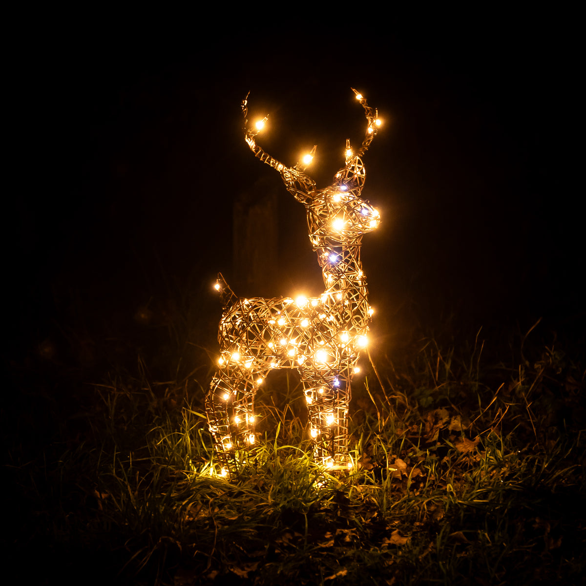 Christmas Reindeer Lights - 60CM Brown Wicker Light Up Small Stag with 90 White LEDs