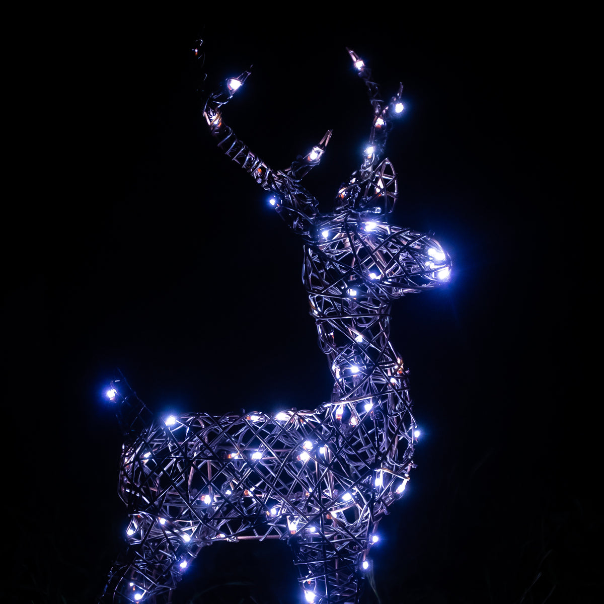 Christmas Reindeer Lights - 60CM Brown Wicker Light Up Small Stag with 90 White LEDs