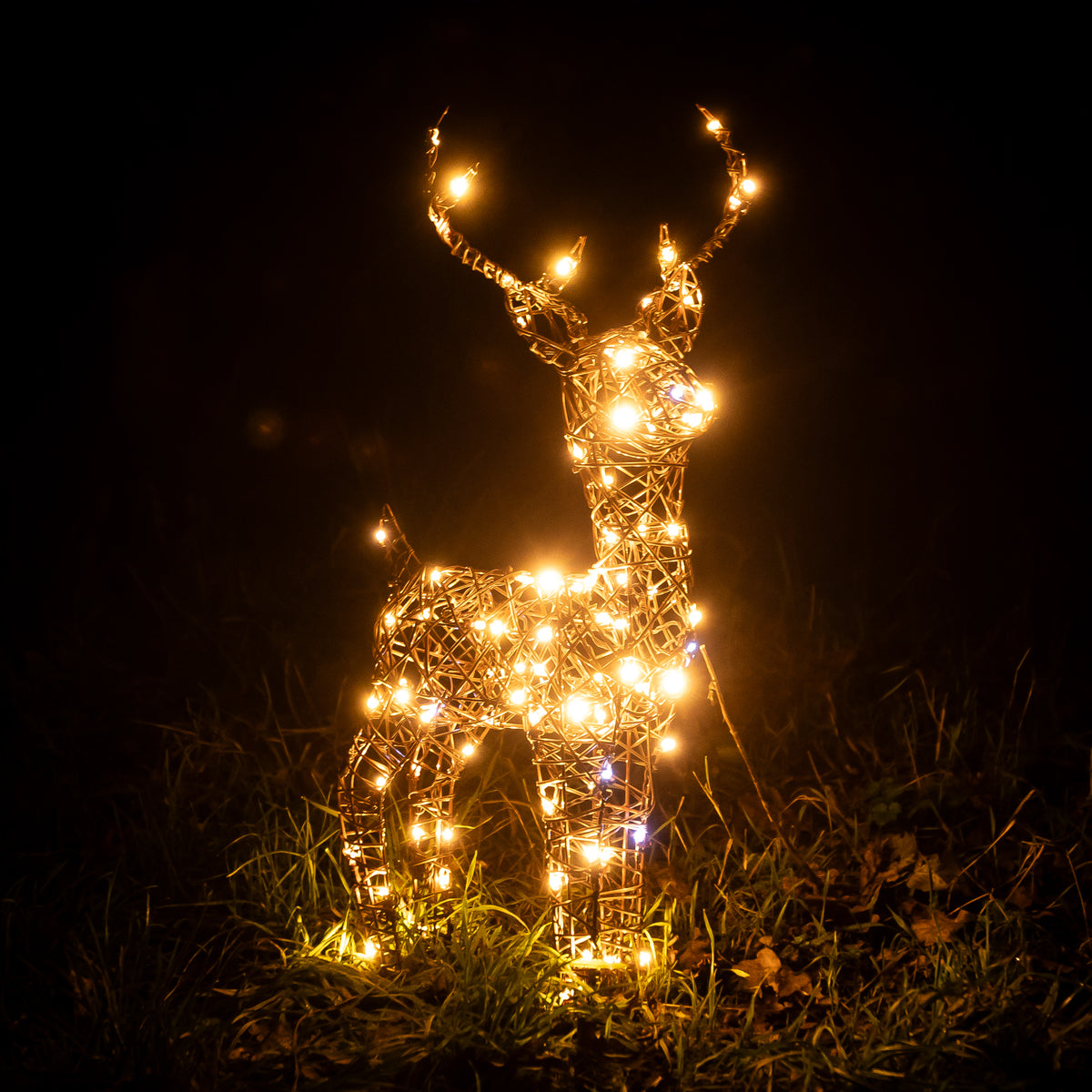 Christmas Reindeer Lights - 60CM Brown Wicker Light Up Small Stag with 90 White LEDs