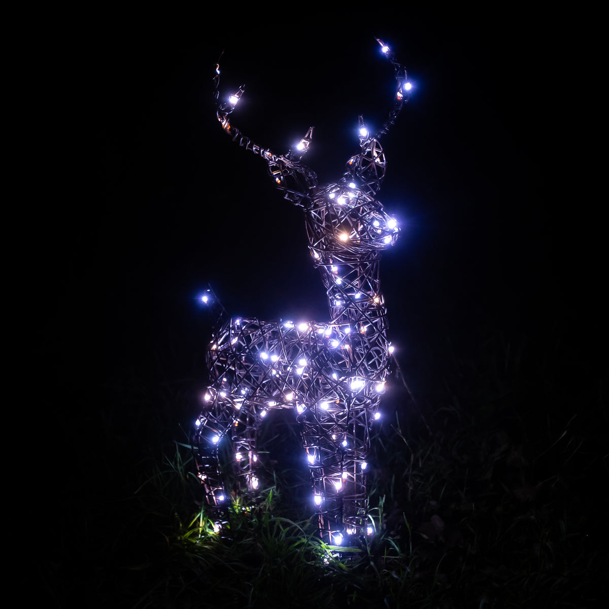 Christmas Reindeer Lights - 60CM Brown Wicker Light Up Small Stag with 90 White LEDs