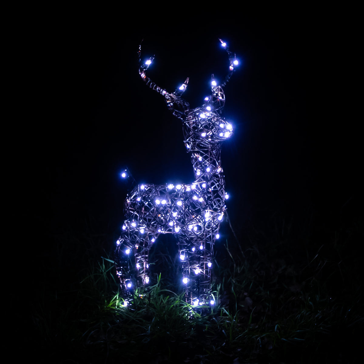 Christmas Reindeer Lights - 60CM Brown Wicker Light Up Small Stag with 90 White LEDs