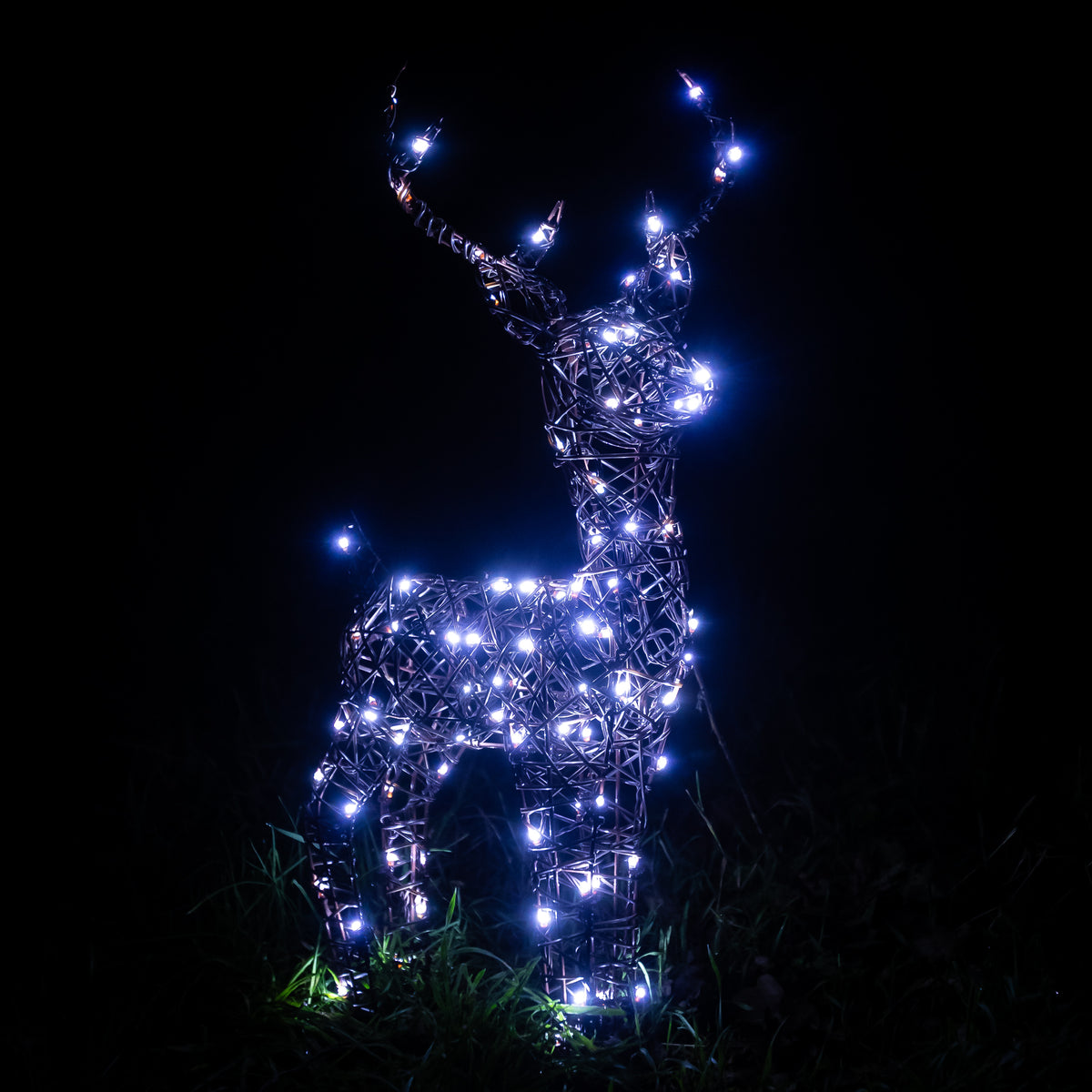 Christmas Reindeer Lights - 60CM Brown Wicker Light Up Small Stag with 90 White LEDs