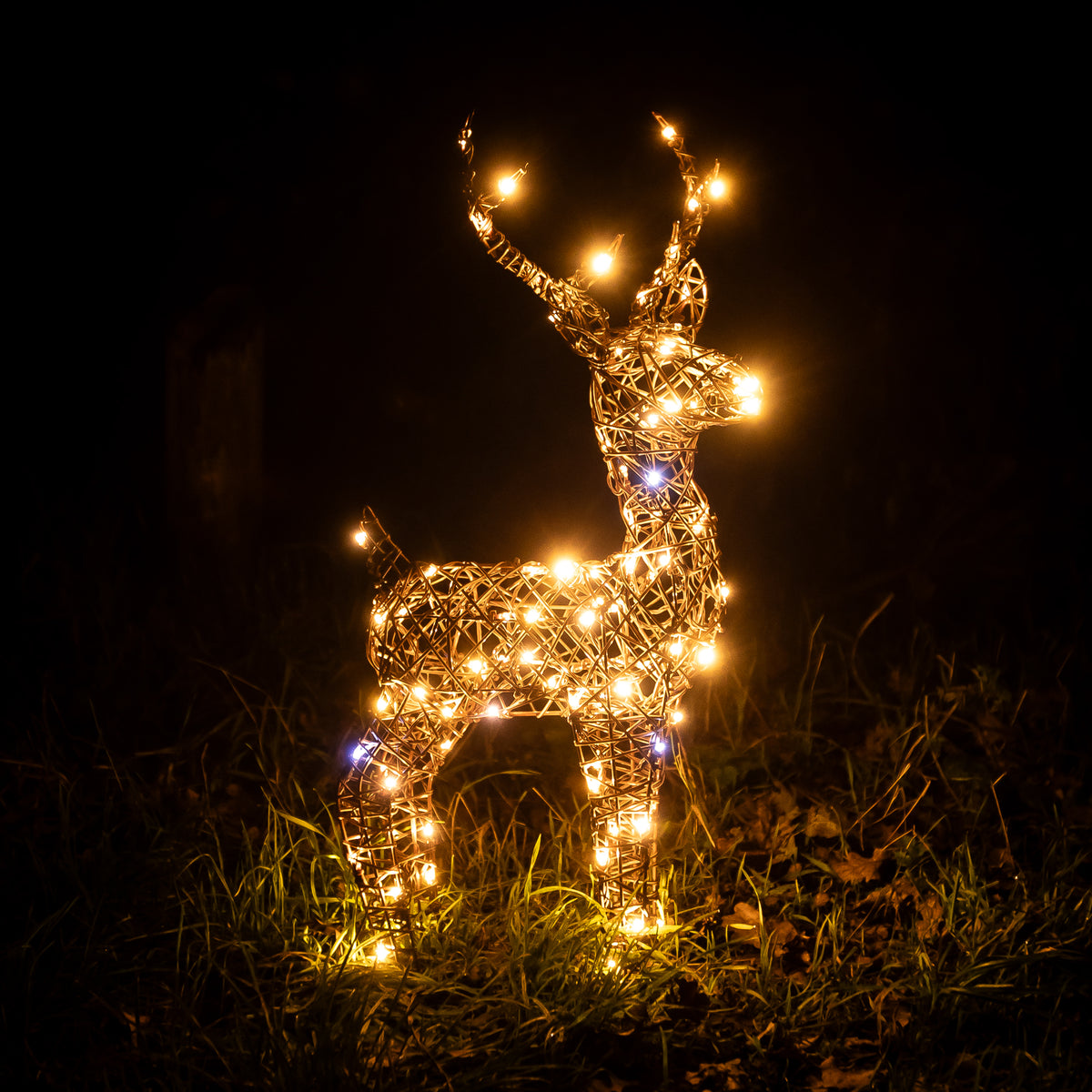 Christmas Reindeer Lights - 60CM Brown Wicker Light Up Small Stag with 90 White LEDs