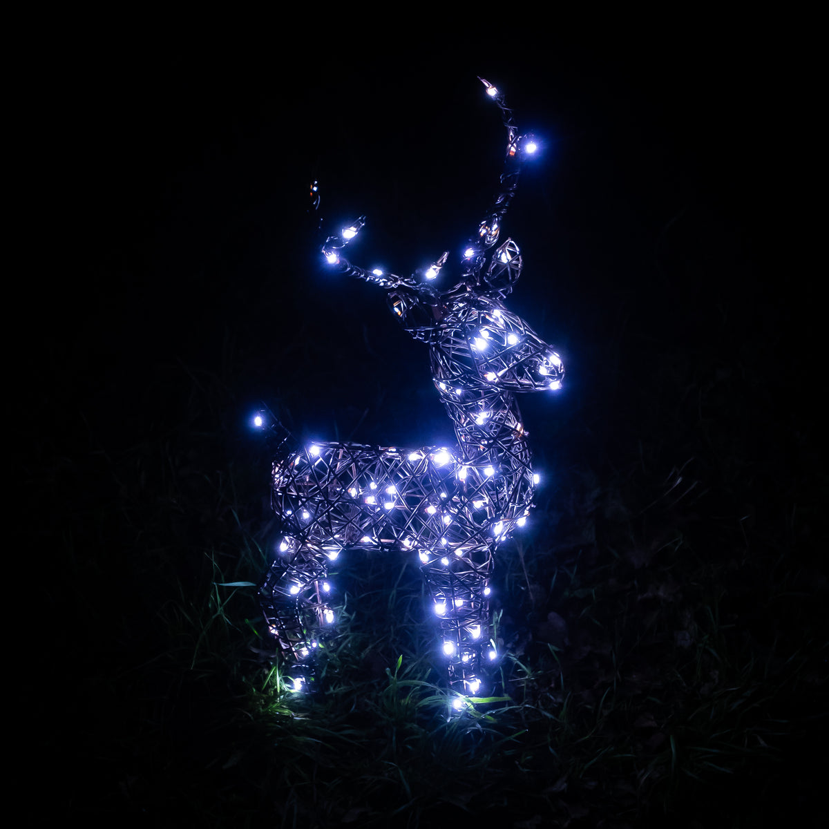 Christmas Reindeer Lights - 60CM Brown Wicker Light Up Small Stag with 90 White LEDs