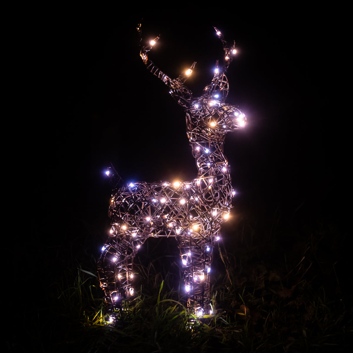 Christmas Reindeer Lights - 60CM Brown Wicker Light Up Small Stag with 90 White LEDs