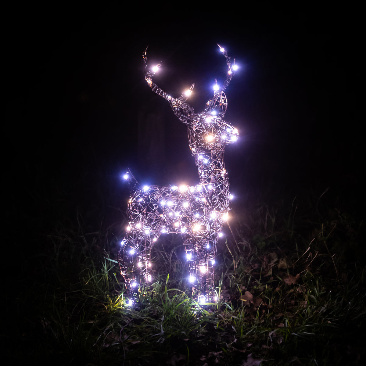 Christmas Reindeer Lights - 60CM Brown Wicker Light Up Small Stag with 90 White LEDs