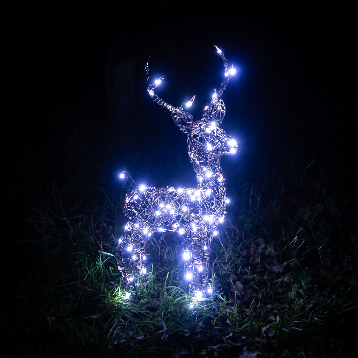 Christmas Reindeer Lights - 60CM Brown Wicker Light Up Small Stag with 90 White LEDs