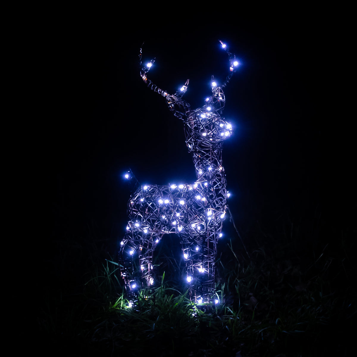 Christmas Reindeer Lights - 60CM Brown Wicker Light Up Small Stag with 90 White LEDs