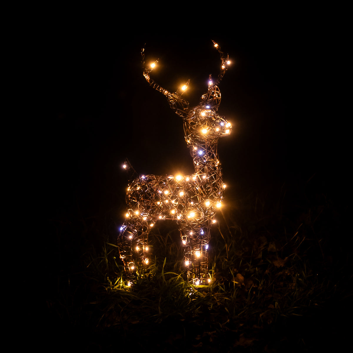 Christmas Reindeer Lights - 60CM Brown Wicker Light Up Small Stag with 90 White LEDs