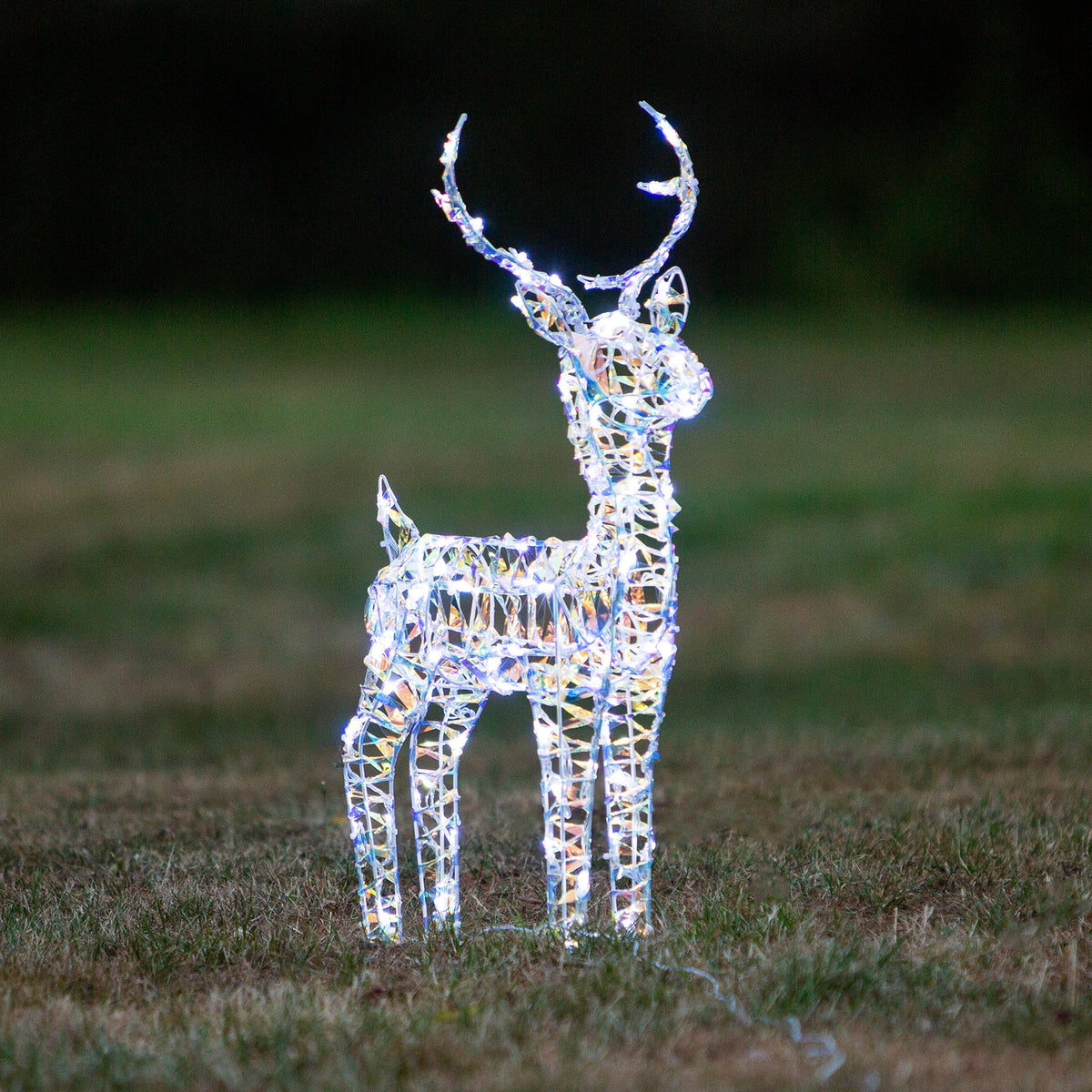 Christmas Reindeer Lights - 60CM Laser Light Up Small Stag with 90 White LEDs