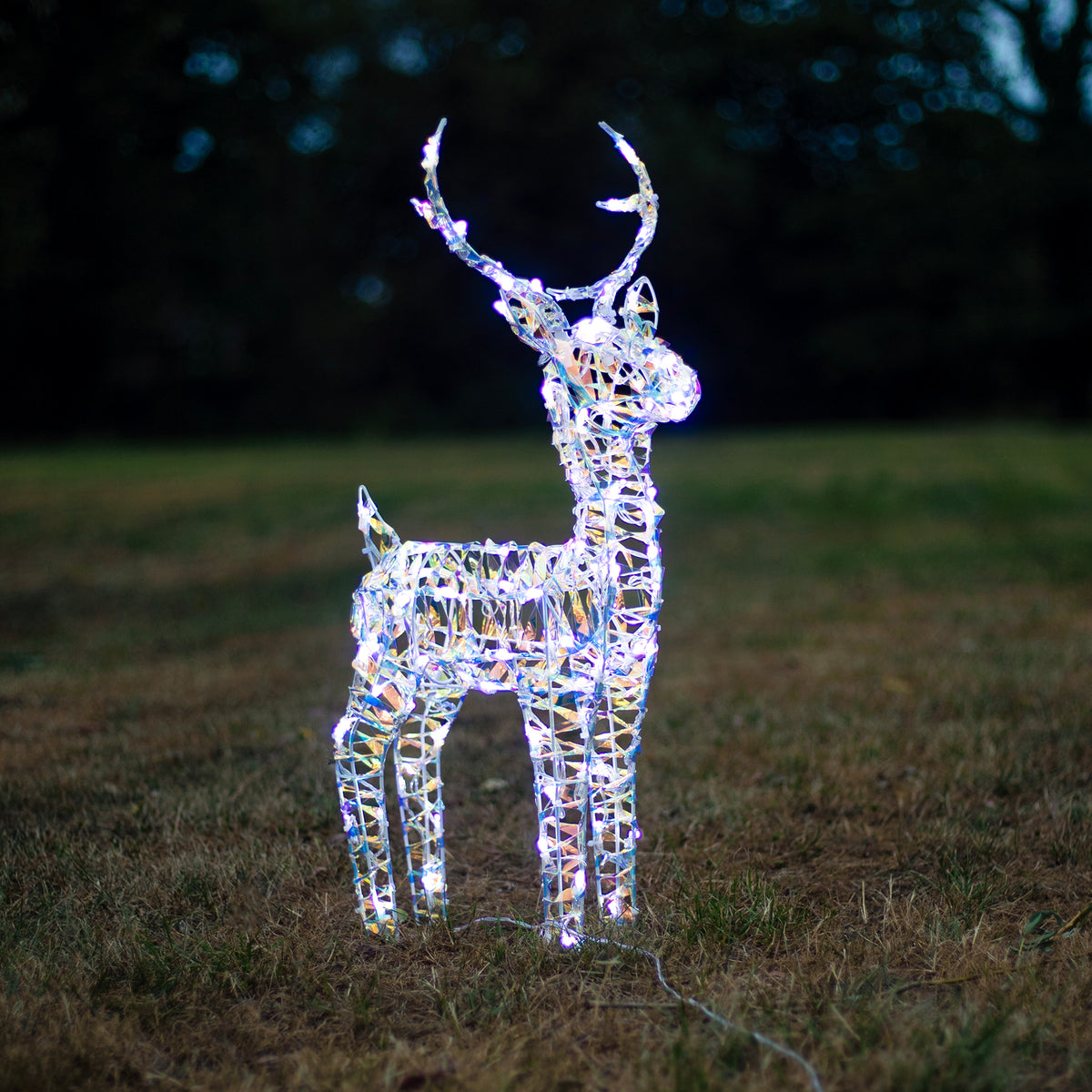 Christmas Reindeer Lights - 60CM Laser Light Up Small Stag with 90 White LEDs