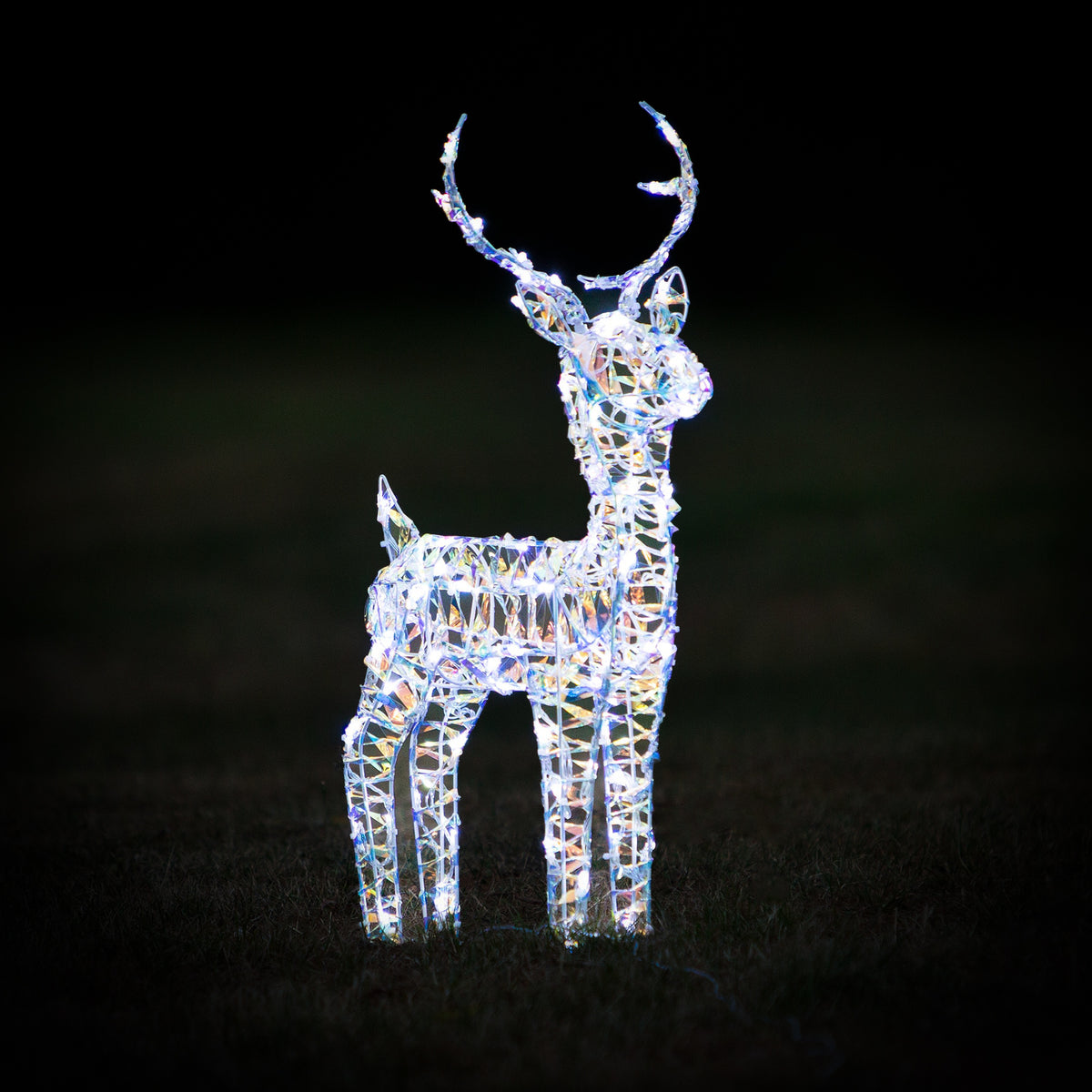 Christmas Reindeer Lights - 60CM Laser Light Up Small Stag with 90 White LEDs