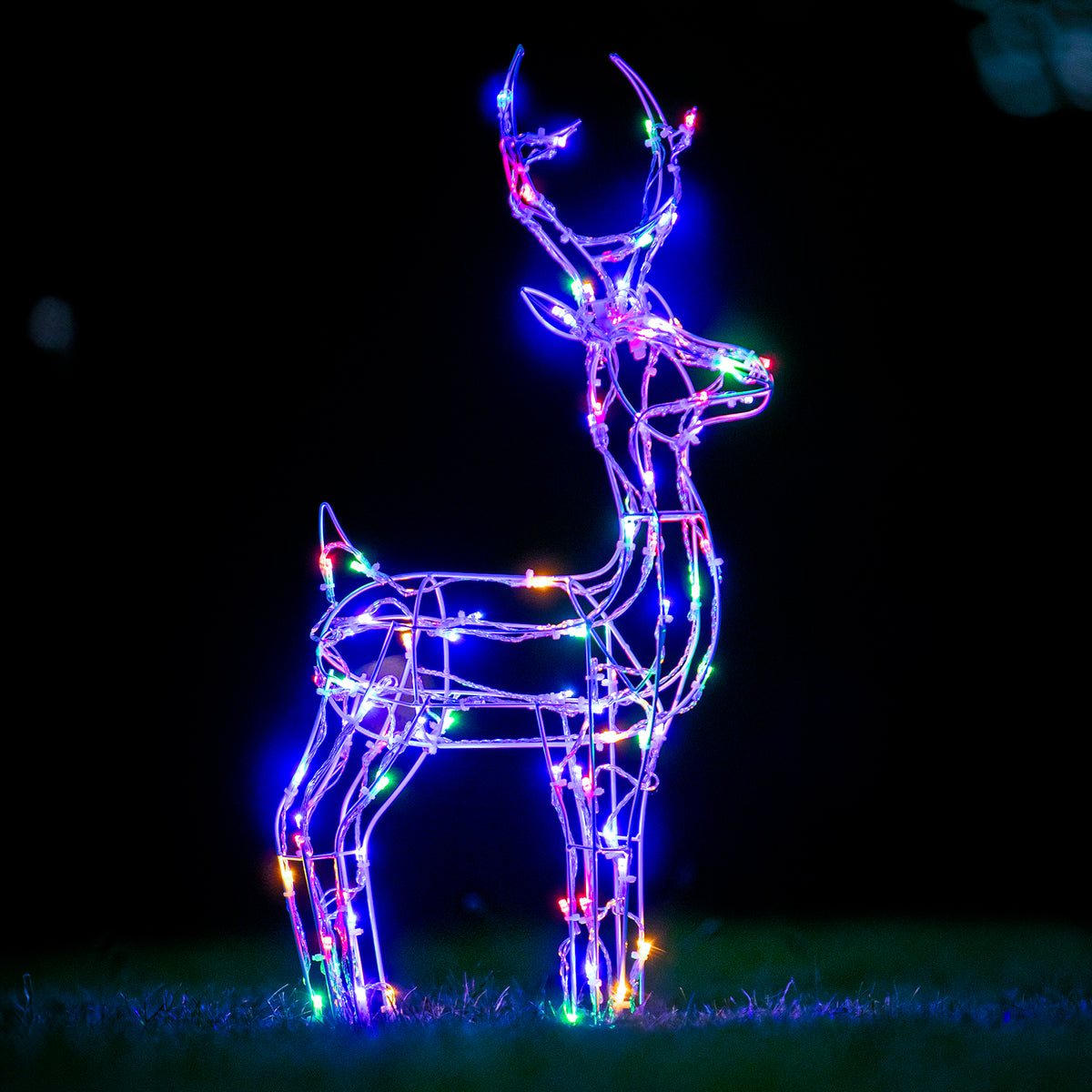 Christmas Reindeer Lights - 60CM White Wire Light Up Small Stag with 90 Warm White and Multi  LEDs