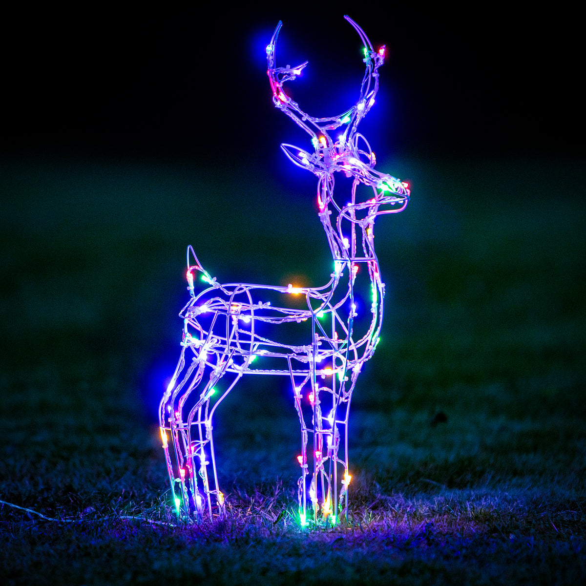 Christmas Reindeer Lights - 60CM White Wire Light Up Small Stag with 90 Warm White and Multi  LEDs