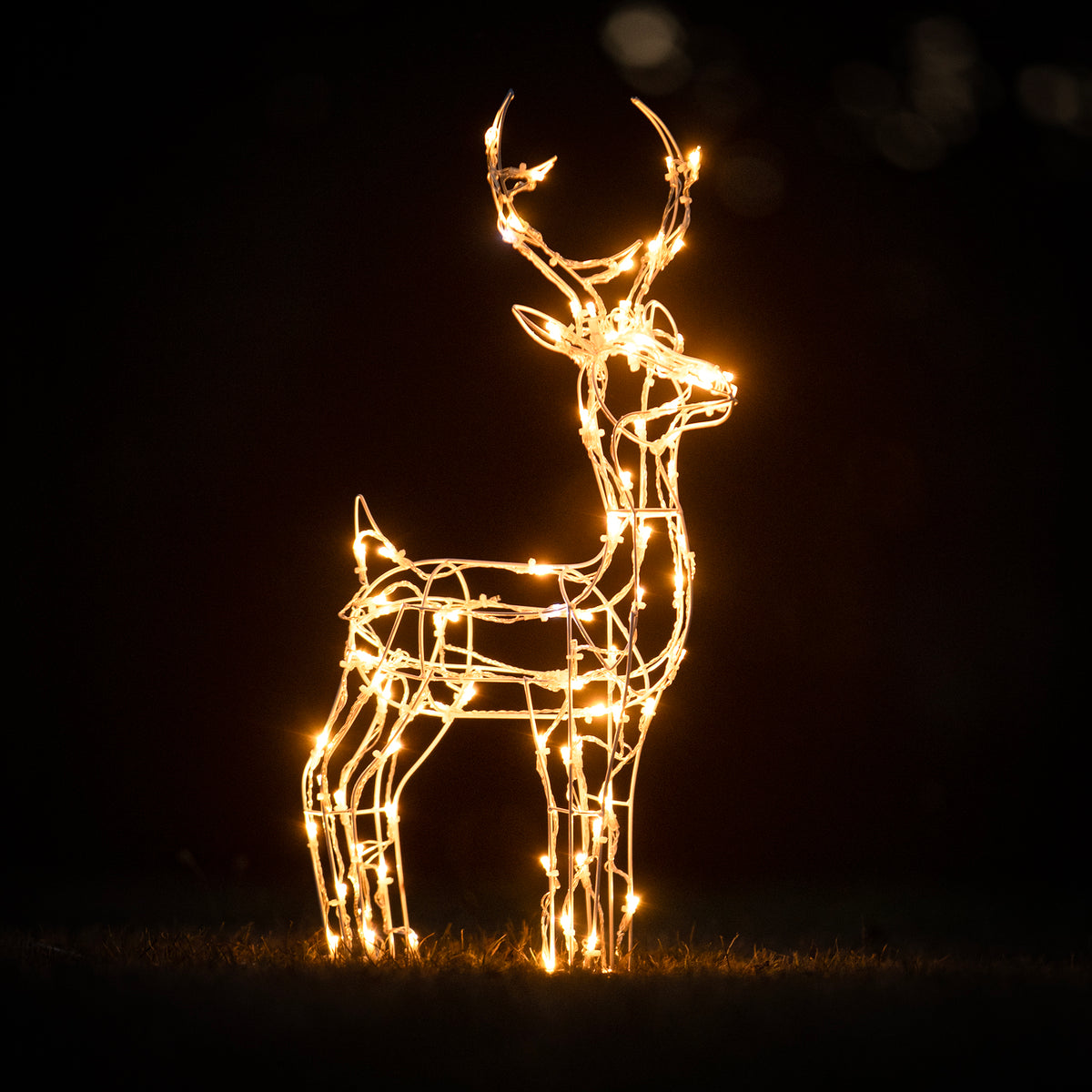 Christmas Reindeer Lights - 60CM White Wire Light Up Small Stag with 90 Warm White and Multi  LEDs