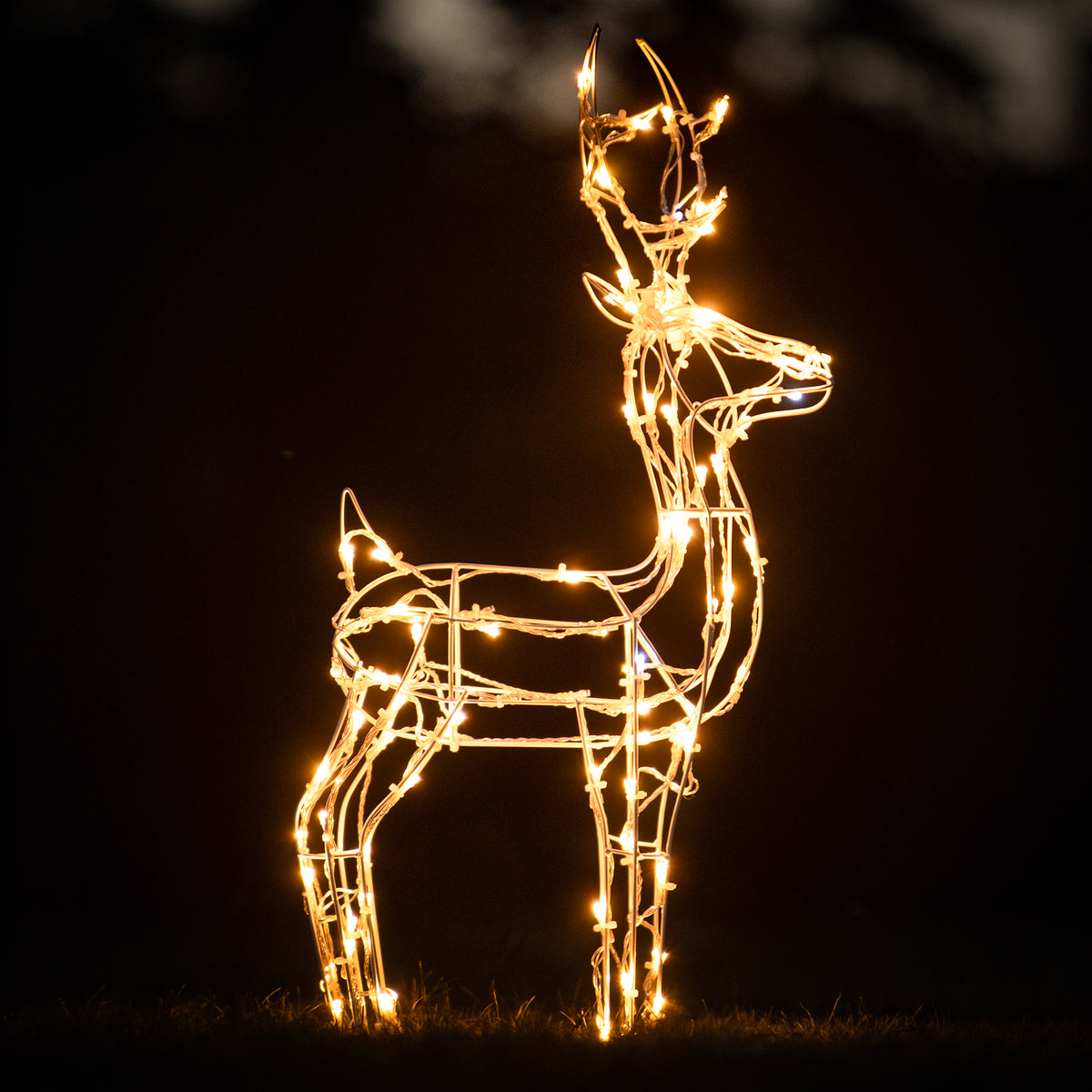 Christmas Reindeer Lights - 60CM White Wire Light Up Small Stag with 90 Warm White and Multi  LEDs