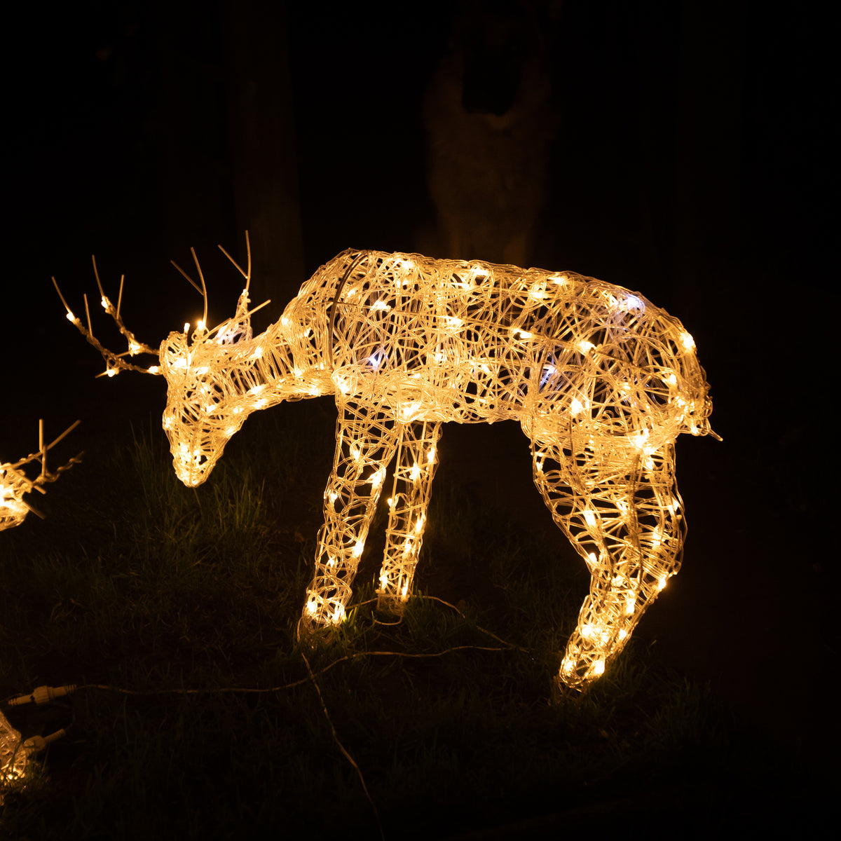 Pre-Lit Christmas Reindeer - Set of 3 Soft Acrylic Light-Up Reindeer Family with 260 White LEDs