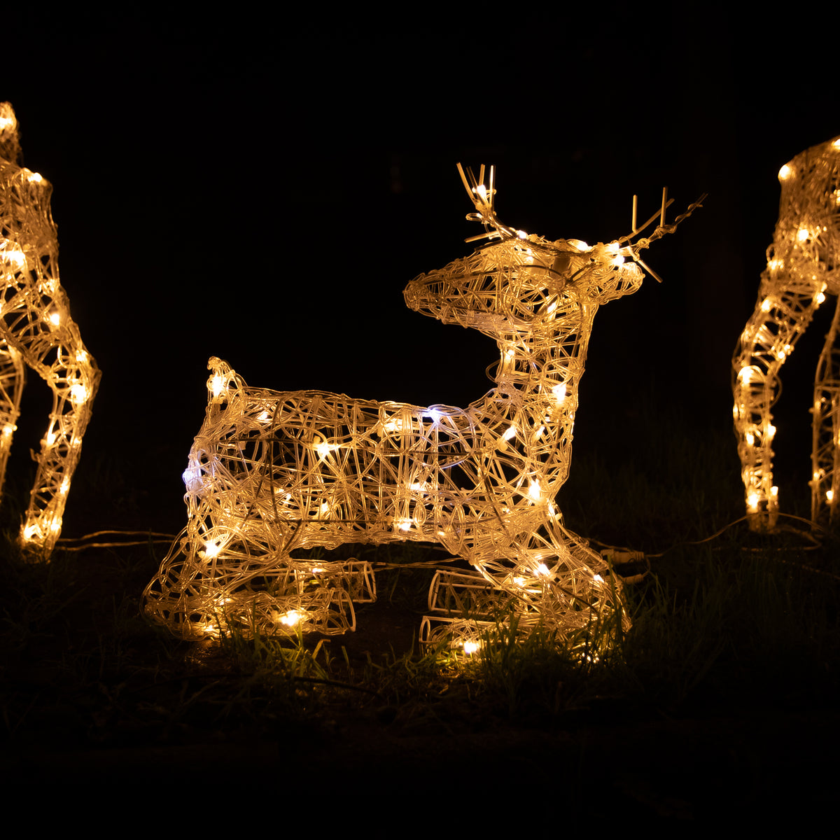 Pre-Lit Christmas Reindeer - Set of 3 Soft Acrylic Light-Up Reindeer Family with 260 White LEDs