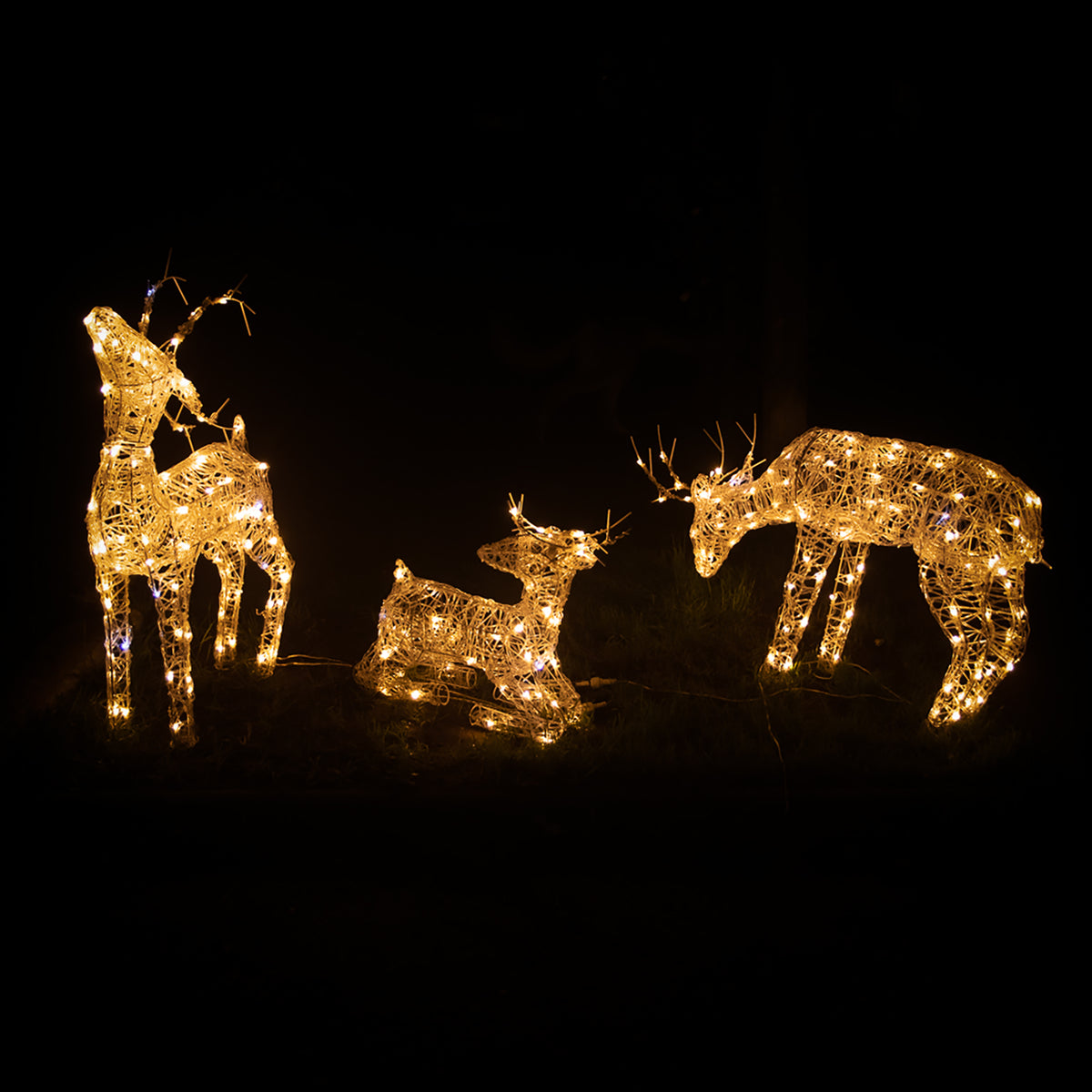 Pre-Lit Christmas Reindeer - Set of 3 Soft Acrylic Light-Up Reindeer Family with 260 White LEDs