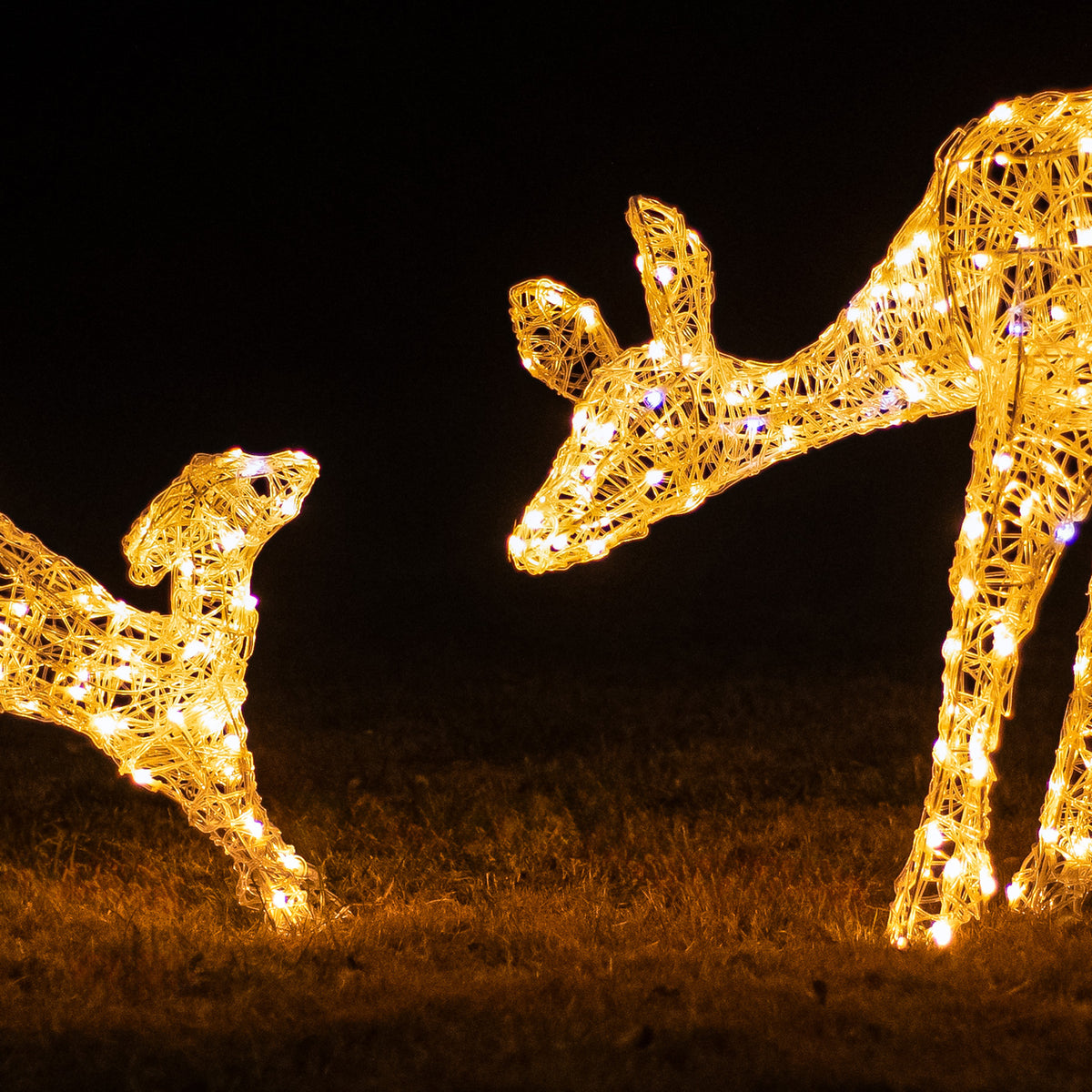 Christmas Reindeer Lights - 1M Soft Acrylic Light Up Mother &amp; Baby with 250 White LEDs