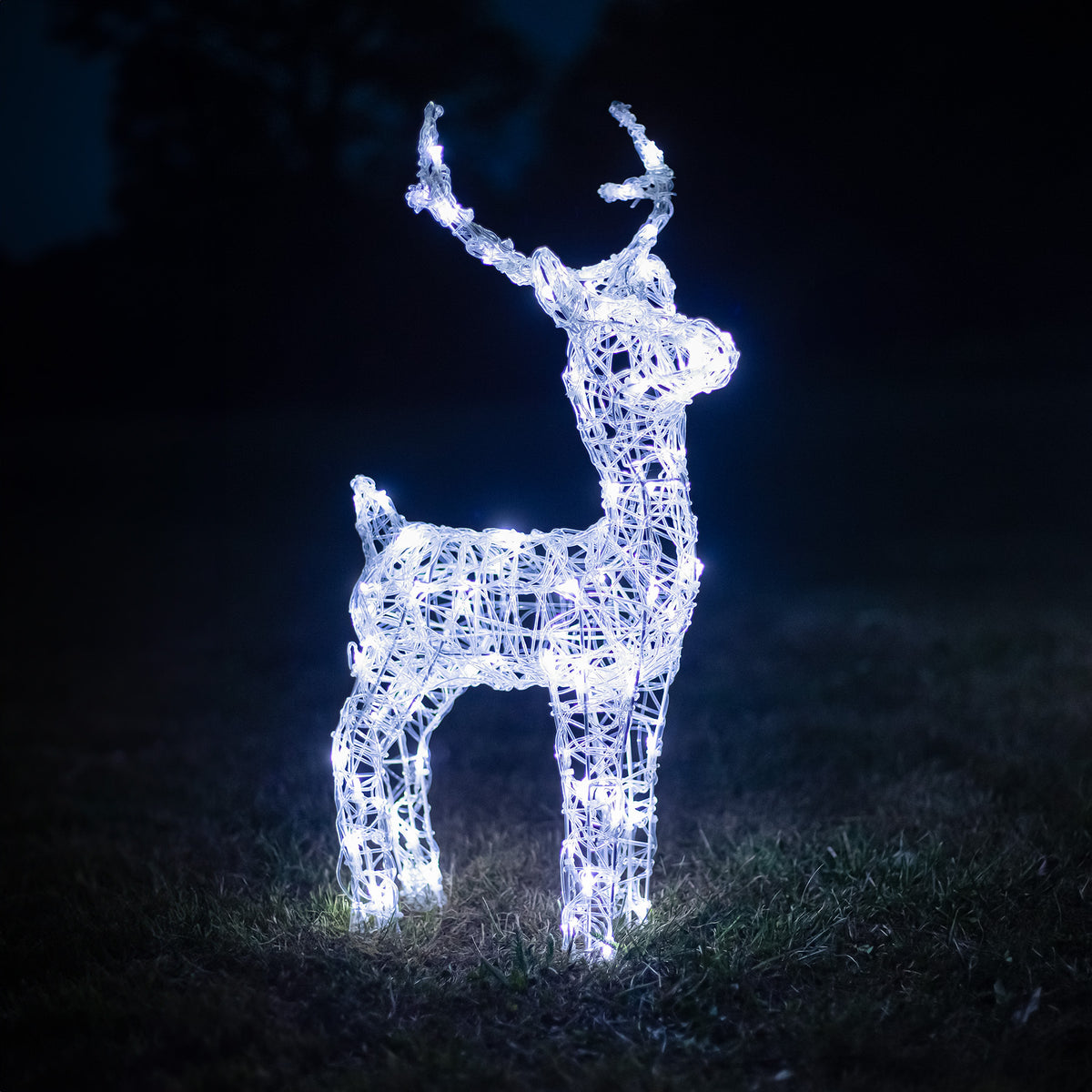 Christmas Reindeer Lights - 60CM Soft Acrylic Light Up Small Stag with 90 White LEDs