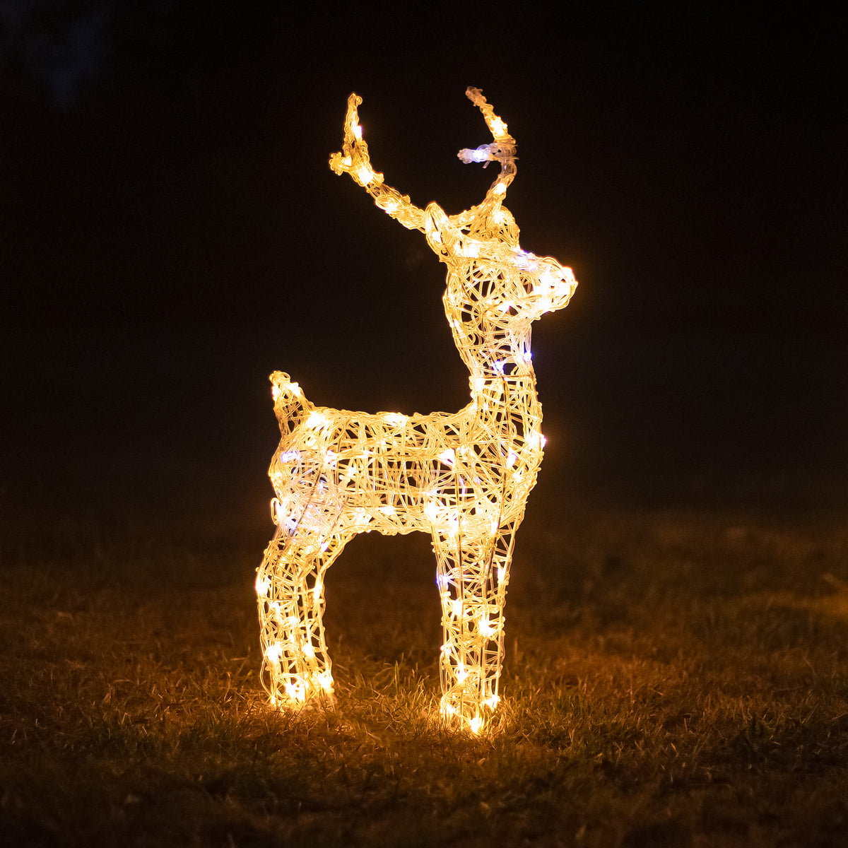 Christmas Reindeer Lights - 60CM Soft Acrylic Light Up Small Stag with 90 White LEDs