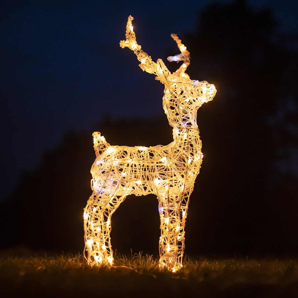 Christmas Reindeer Lights - 60CM Soft Acrylic Light Up Small Stag with 90 White LEDs