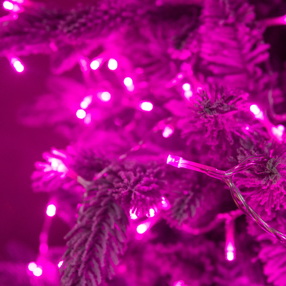 120 LED Pink Multi-Function Christmas String Lights with Clear Cable